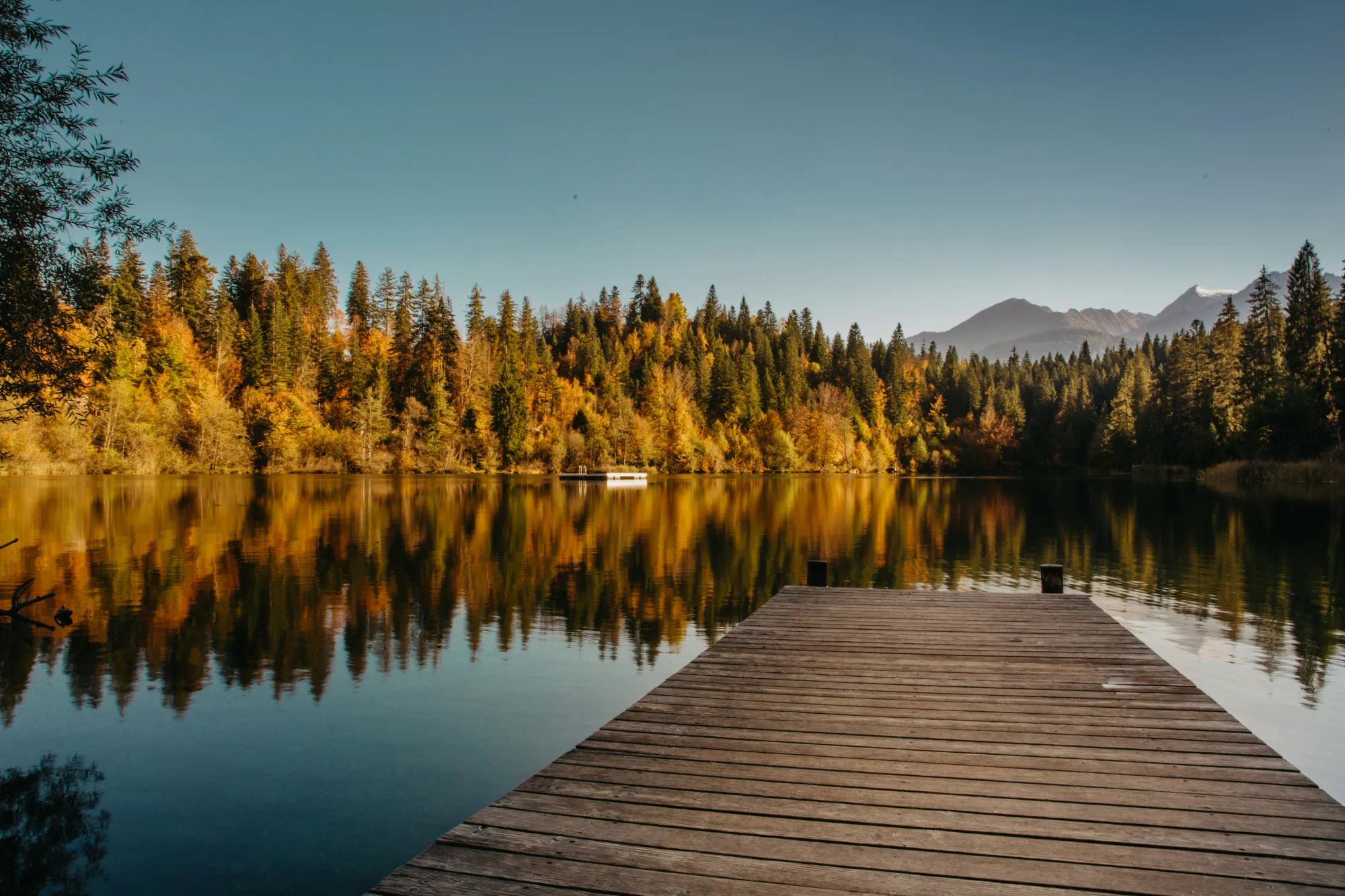 Fall Foliage Timeshare Getaways: 7 Resorts Near Peak Leaf Season
